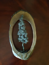 Custom Bonsai and Dioramas