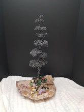 Custom Bonsai and Dioramas