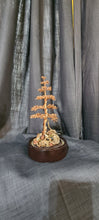 Custom Bonsai and Dioramas