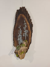 Custom Bonsai and Dioramas