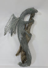 Fire Lizard on Driftwood