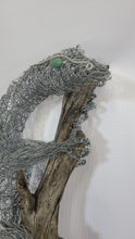 Fire Lizard on Driftwood