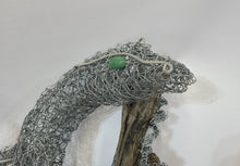 Fire Lizard on Driftwood