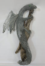 Fire Lizard on Driftwood