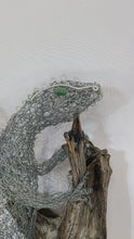 Fire Lizard on Driftwood