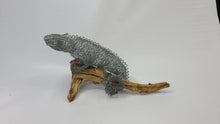 Chicken Wire Lizard