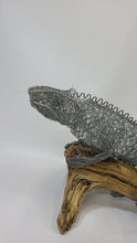 Chicken Wire Lizard