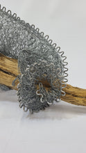 Chicken Wire Lizard