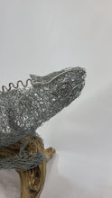 Chicken Wire Lizard