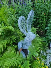 Chicken Wire Jack Rabbit