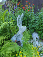 Chicken Wire Jack Rabbit