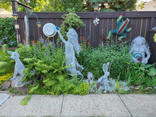 Chicken Wire Jack Rabbit