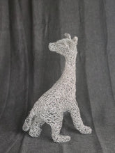 Sphinx-Hairless Cat Chicken Wire Sculpture