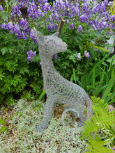 Sphinx-Hairless Cat Chicken Wire Sculpture