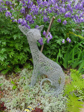 Sphinx-Hairless Cat Chicken Wire Sculpture