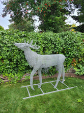 Life-size Young Elk Buck Chicken Wire Sculpture