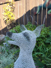 Chicken Wire "Fox Red or White" -Garden Art Sculpture