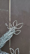 Chicken Wire Frog- Hanging Out