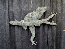Chicken Wire Frog- Hanging Out