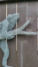 Chicken Wire Frog- Hanging Out