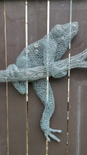Chicken Wire Frog- Hanging Out