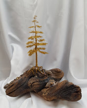 Custom Bonsai and Dioramas