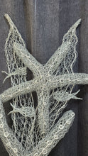 Medley under the Sea- Chicken wire Sea Stars