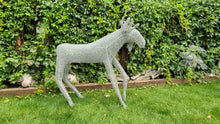 3D Chicken Wire Moose Sculpture