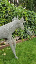 3D Chicken Wire Moose Sculpture