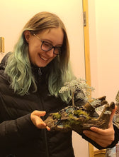 Custom Bonsai and Dioramas