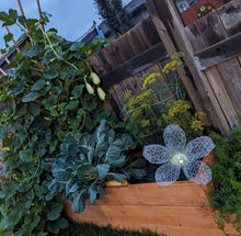 Chicken Wire Solar Light Flowers