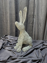 Chicken Wire Jack Rabbit