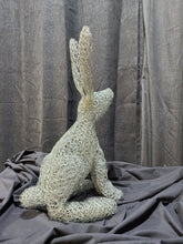 Chicken Wire Jack Rabbit