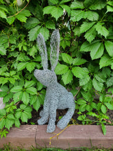 Chicken Wire Jack Rabbit