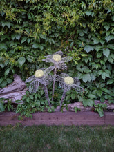 Chicken Wire Solar Light Flowers