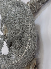 Chicken Wire Lizard