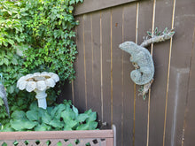 Chicken Wire Lizard
