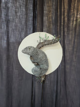 Chicken Wire Lizard