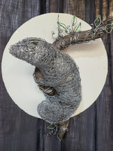 Chicken Wire Lizard