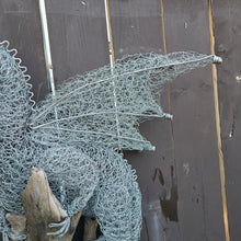 Fire Lizard on Driftwood