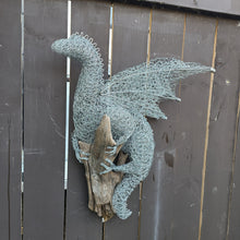 Fire Lizard on Driftwood