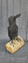 Chicken Wire Raven Garden Art Sculpture