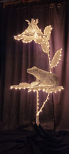Chicken Wire Frog Sculpture *Venus of Madagascar*