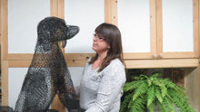 Chicken Wire Large Sitting Dog Garden Sculpture  We-met Wire Work