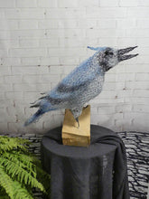 Chicken Wire- Ben Garden Art Sculpture  We-met Wire Work