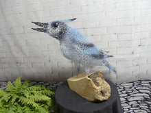 Chicken Wire- Ben Garden Art Sculpture  We-met Wire Work
