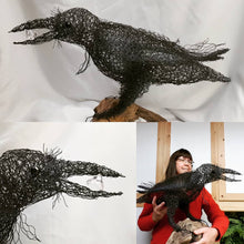 Chicken Wire Raven/Crow Garden Art Sculpture