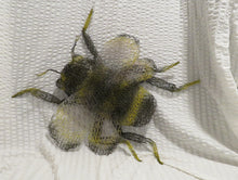 Chicken Wire Bumble Bee