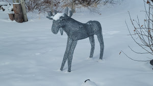 3D Chicken Wire Moose Sculpture