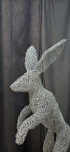 Chicken Wire -Jack Rabbit